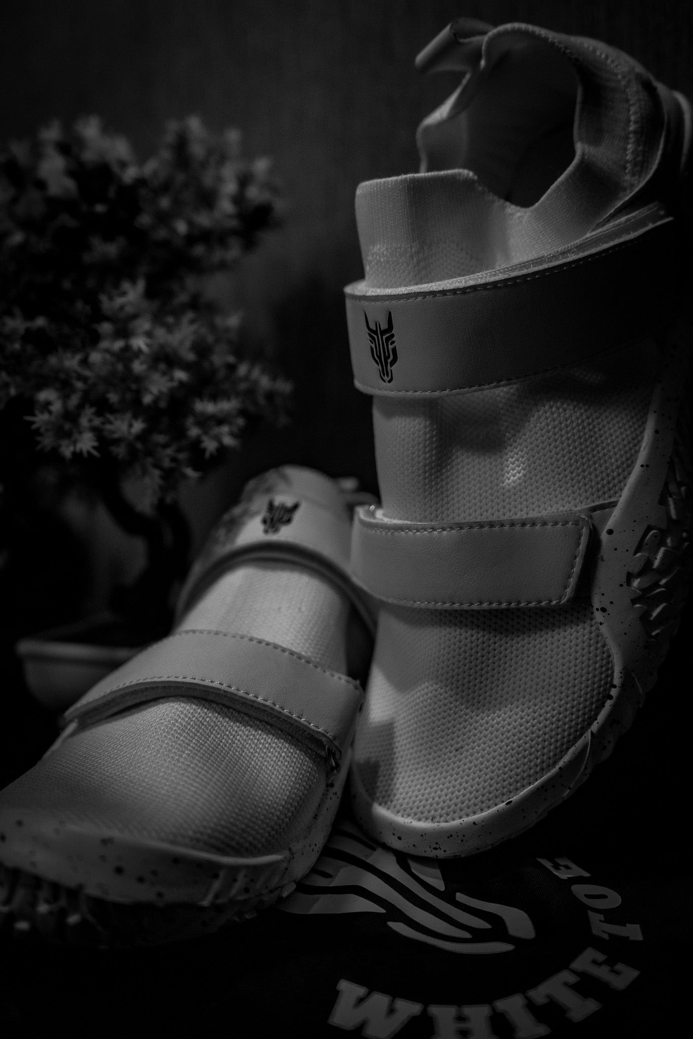 Cradle Cut Shiro